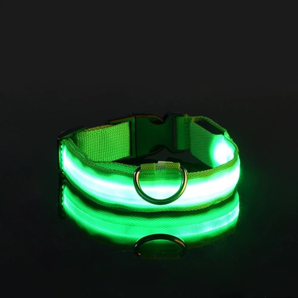 LumiDog™ Collier Lumineux LED pour Chien – Sécurité Nocturne - Rondor