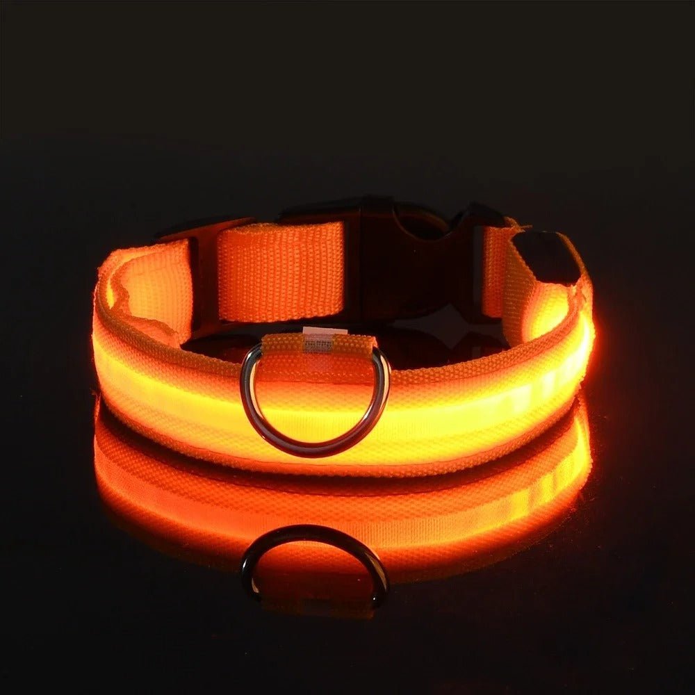LumiDog™ Collier Lumineux LED pour Chien – Sécurité Nocturne - Rondor
