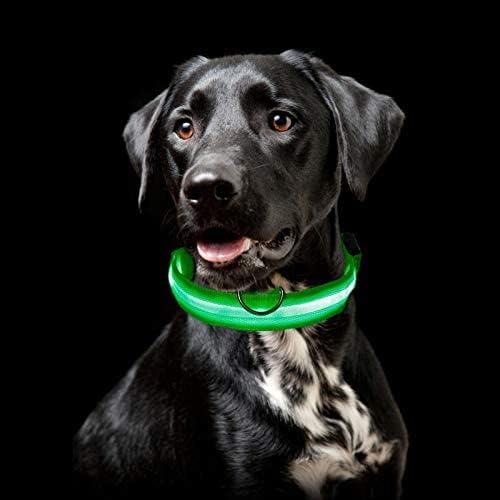 LumiDog™ Collier Lumineux LED pour Chien – Sécurité Nocturne - Rondor