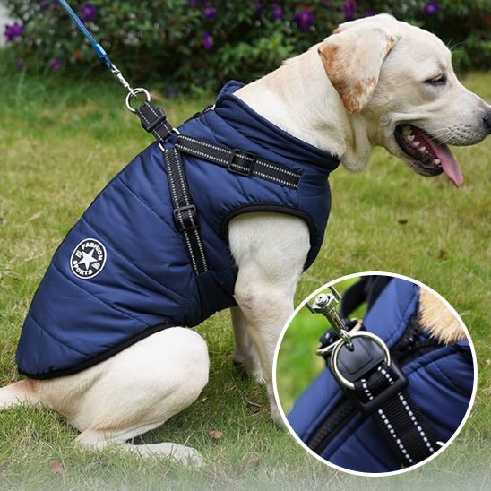 Manteau d’Hiver Imperméable JuJuJacket™ pour Chien avec Harnais Réfléchissant | RONDOR - Rondor