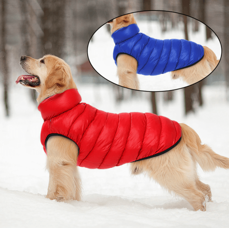 Manteau imperméable réversible pour chien | RONDOR - Rondor