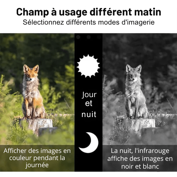 Monoculaire 5X Vision Nocturne avec Caméra HD, Enregistrement Vidéo Chasse - Rondor