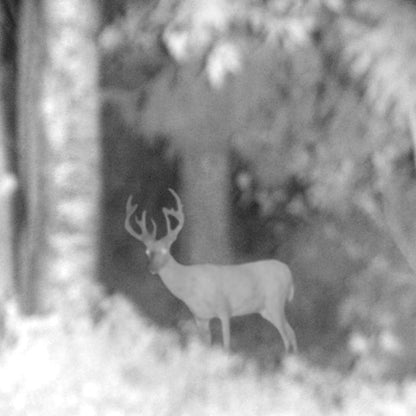 Monoculaire 5X Vision Nocturne avec Caméra HD, Enregistrement Vidéo Chasse - Rondor