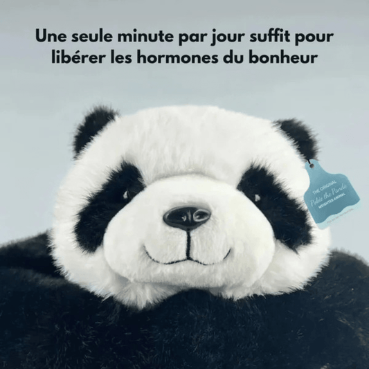 Pookie le Panda – Peluche Lestée Apaisante - Rondor