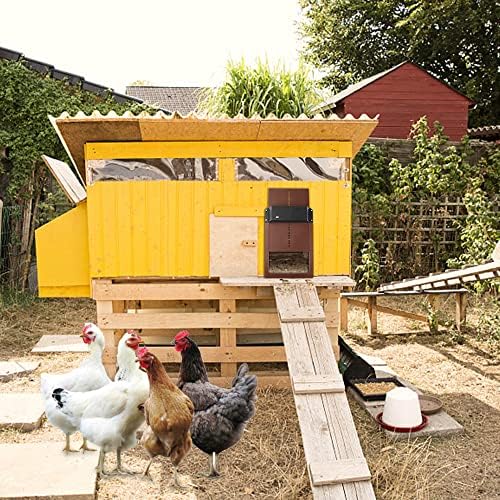 Porte de Poulailler Automatique - Ouvre - Porte Poulailler avec Capteur - Rondor