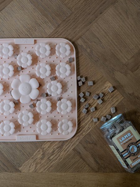 Tapis de fouille et de léchage pour chien - Rondor