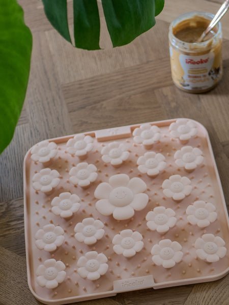 Tapis de fouille et de léchage pour chien - Rondor