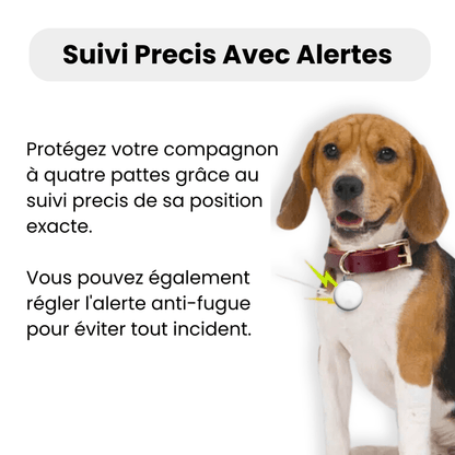 Traceur GPS pour Chien 3 en 1 - Rondor - ANDROID / iOS - Rondor