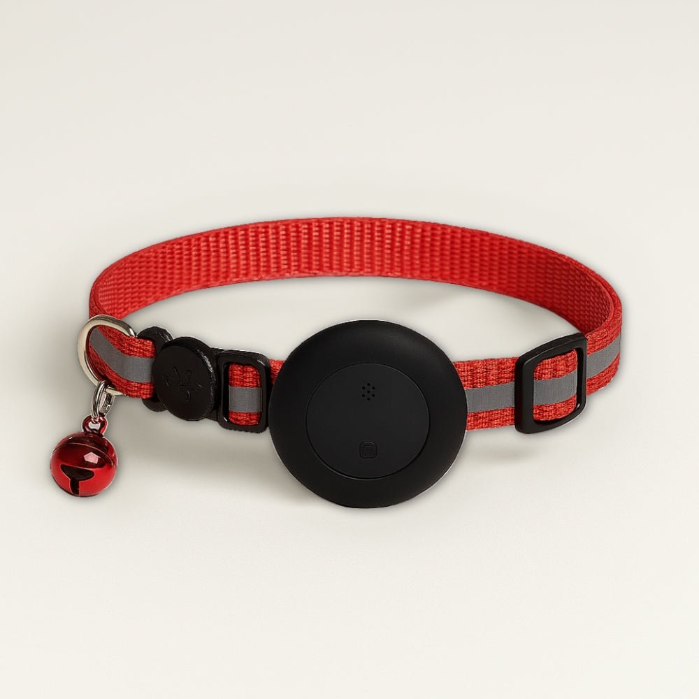 TrackGo - Collier pour chat - Rondor
