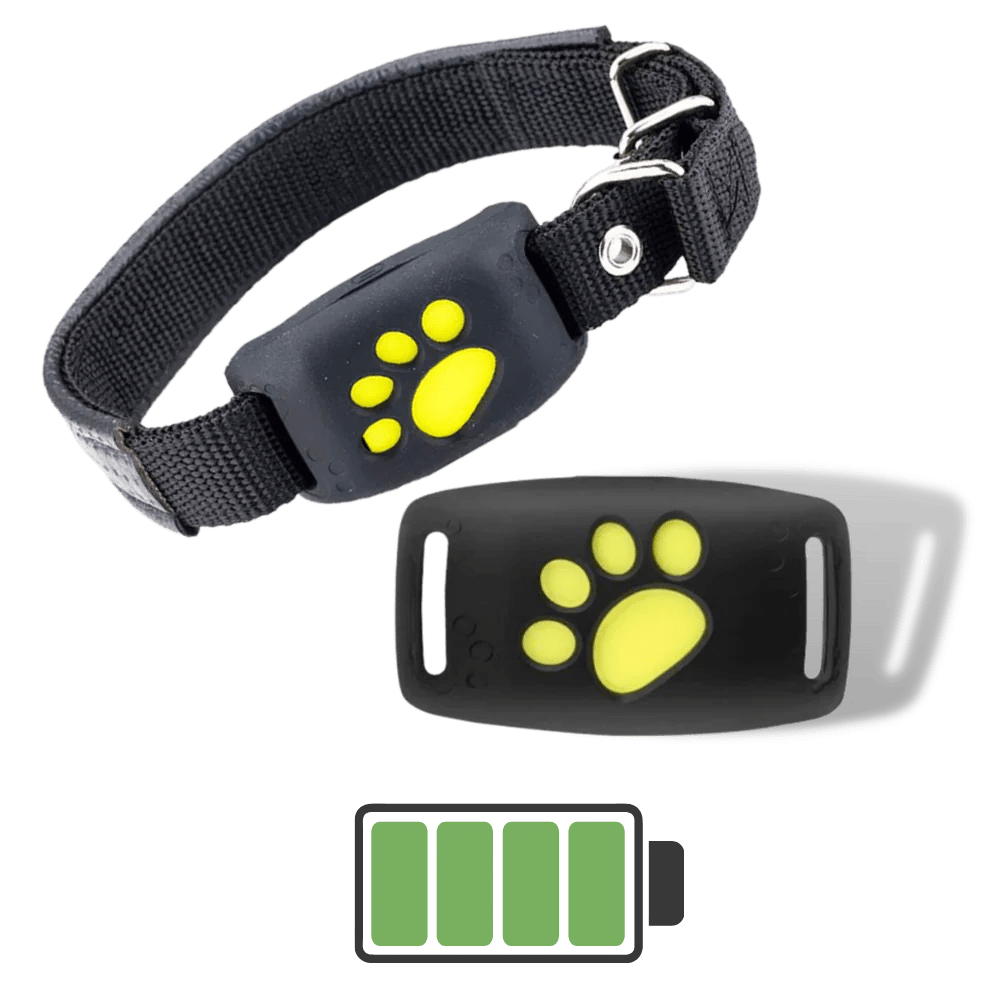 TrackMyCat™ - Dispositif de localisation de traqueur GPS Cat pour animaux de compagnie - Rondor
