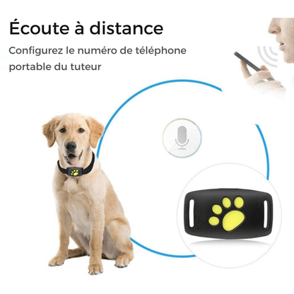 TrackMyCat™ - Dispositif de localisation de traqueur GPS Cat pour animaux de compagnie - Rondor