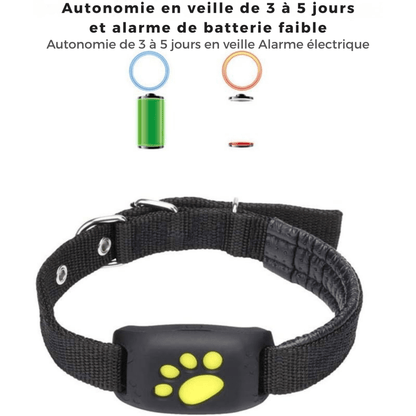TrackMyCat™ - Dispositif de localisation de traqueur GPS Cat pour animaux de compagnie - Rondor