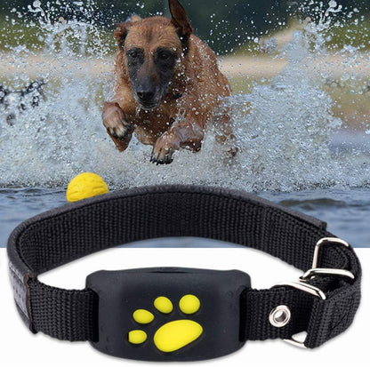 TrackMyCat™ - Dispositif de localisation de traqueur GPS Cat pour animaux de compagnie - Rondor