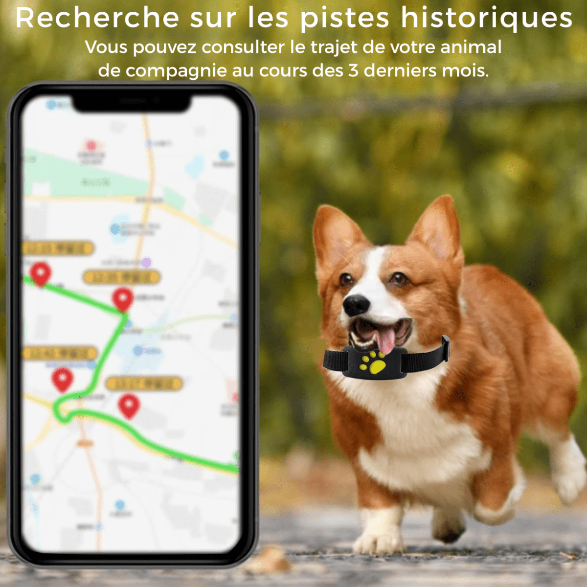 TrackMyCat™ - Dispositif de localisation de traqueur GPS Cat pour animaux de compagnie - Rondor