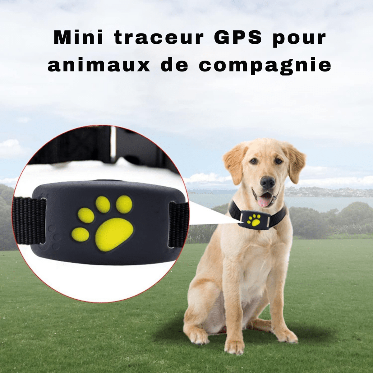 TrackMyCat™ - Dispositif de localisation de traqueur GPS Cat pour animaux de compagnie - Rondor