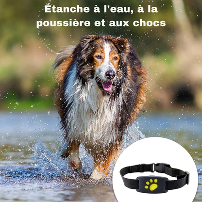 TrackMyCat™ - Dispositif de localisation de traqueur GPS Cat pour animaux de compagnie - Rondor